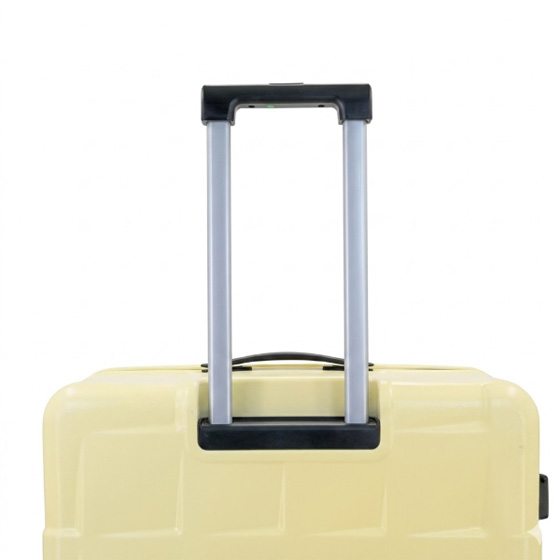 Telescopic Handle