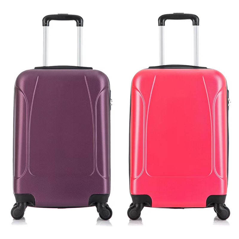 Personalized Logo Travel Trolley Case