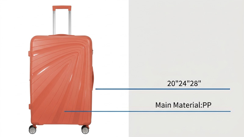 hard luggage hard luggage